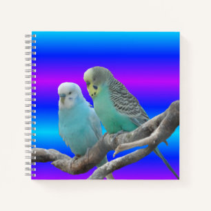 Zwei Niedliche Budgerigar Birds-Notebook Notizbuch