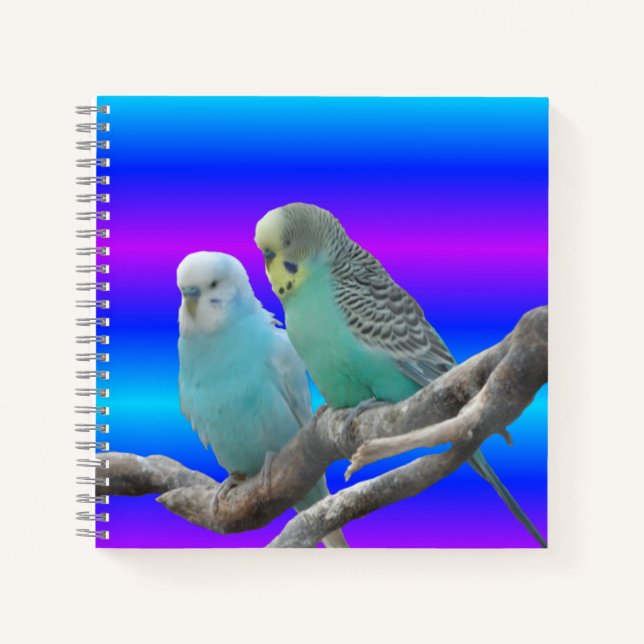 Zwei Niedliche Budgerigar Birds-Notebook Notizbuch (Vorderseite)