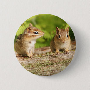 Zwei niedliche Chipmunk-Babys Button
