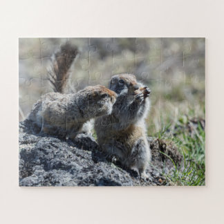 Zwei niedliche Eichhörnchen (Gophoren, Evanrazki) Puzzle