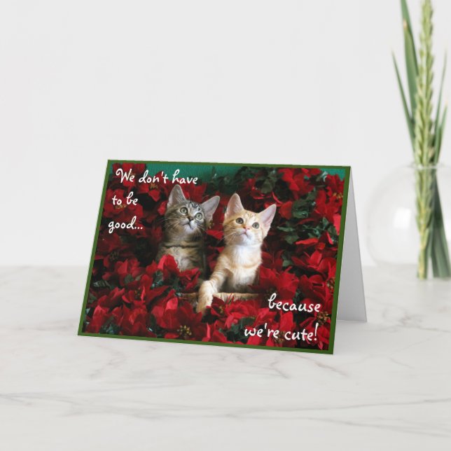 Zwei Niedliche Kittens und Red Poinsettias Karte (Vorderseite)