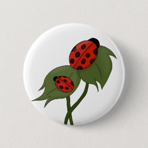 Zwei niedliche Ladybugs auf einer Pflanze Button