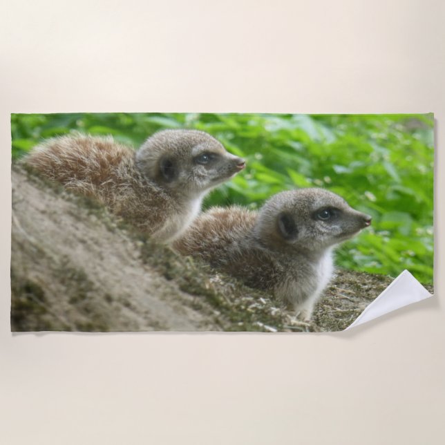 Zwei Niedliche Meerkats Strandtuch (Vorderseite)
