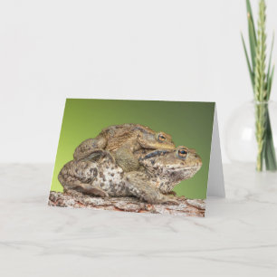 Zwei Niedliche Touren Karte