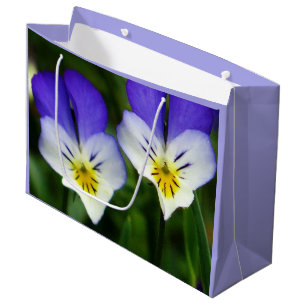 Zwei Niedliche Viola Blume Geschenktasche Große Geschenktüte