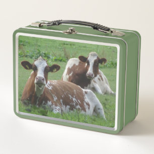 Zwei Niedliche weißbraune Kühe Lunchbox