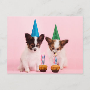 Zwei Niedliche Welpen /W Birthday Hats & Candles Postkarte