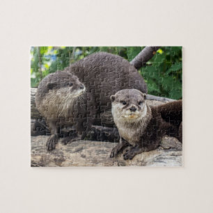 Zwei niedlicher Otter der Otter-  Puzzle