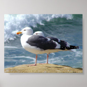 ZWEI OCEAN SEAGULLS WAVOLLS ROCK BEACH FOTOGRAFIE  POSTER