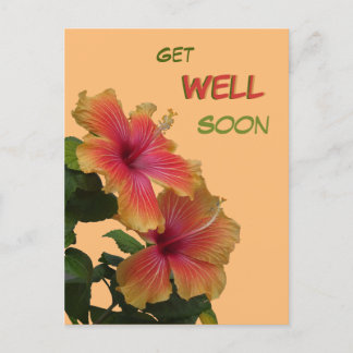 Zwei Orange Hibisken Blume werden bald gut auf Pos Postkarte