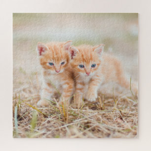 Zwei Orange Tiger Kittens im Gras Puzzle