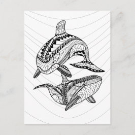 Zwei Orcas Erwachsene - Farbgebung Postkarte