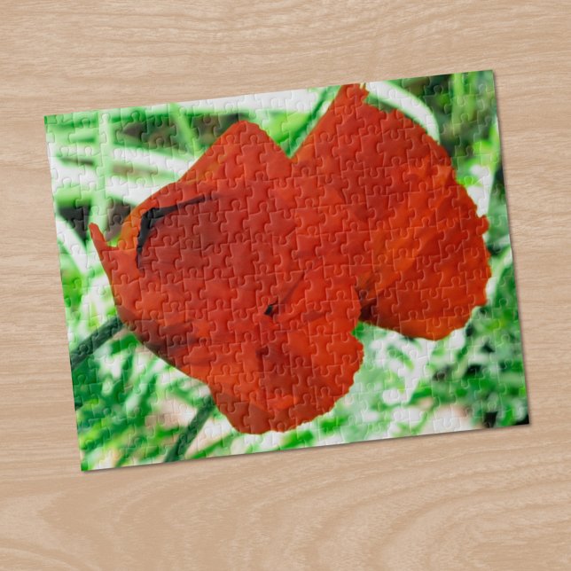 Zwei orientalische Poppies Blume Foto Puzzle (Two Oriental Poppies Flower Photo Jigsaw Puzzle, in situ)