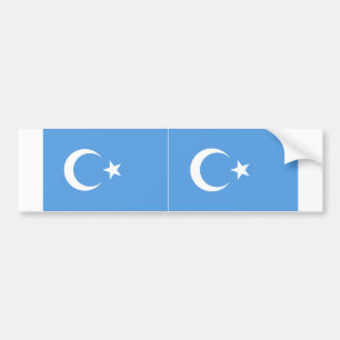 ZWEI ostturkestan-Uyghurer-Flagge Autoaufkleber