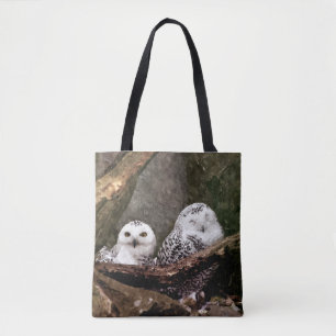 Zwei Owls