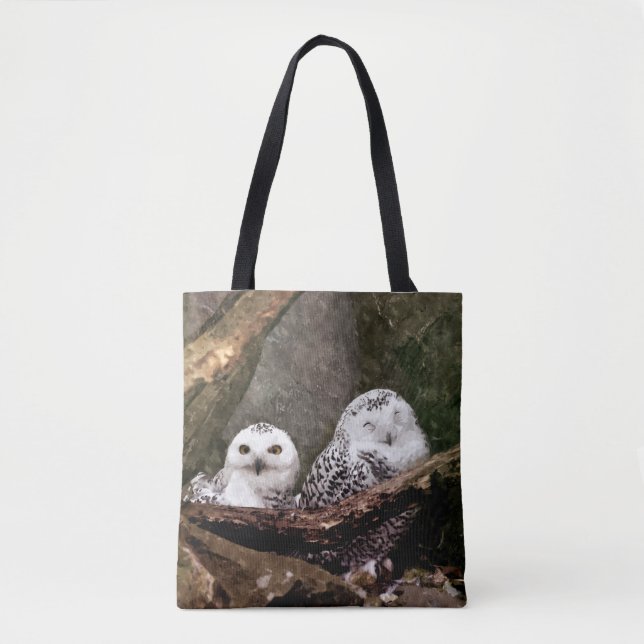 Zwei Owls (Vorderseite)