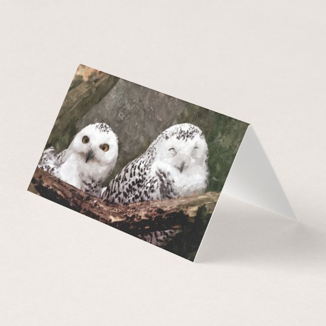 Zwei Owls (Vorderseite)