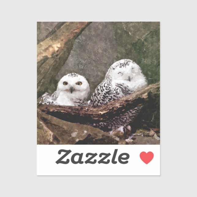 Zwei Owls Aufkleber (Blatt)