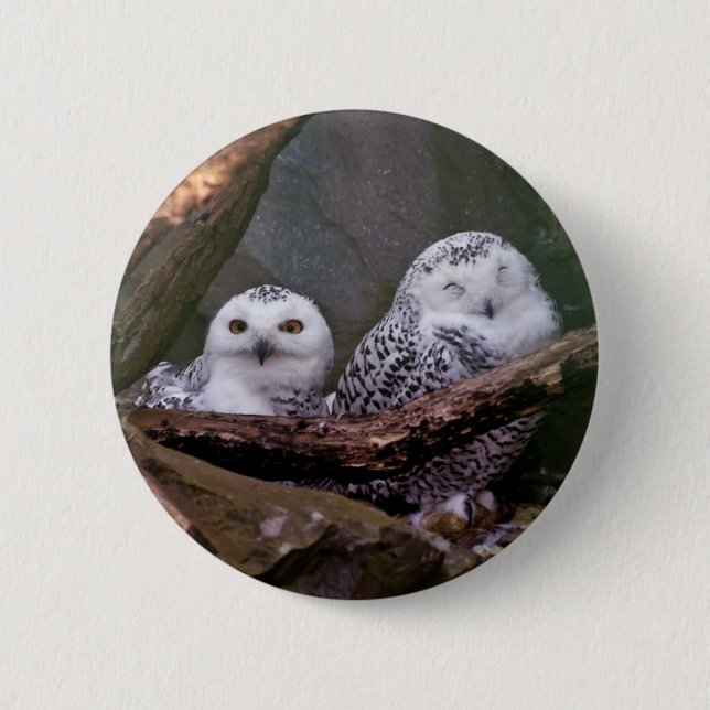 Zwei Owls Button (Vorderseite)