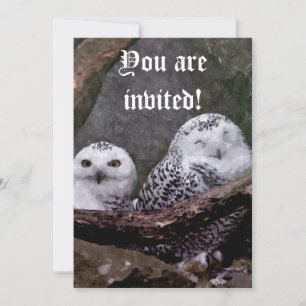 Zwei Owls Einladung
