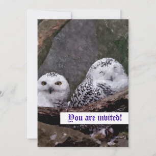 Zwei Owls Einladung