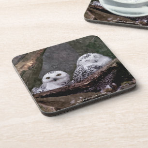 Zwei Owls Getränkeuntersetzer