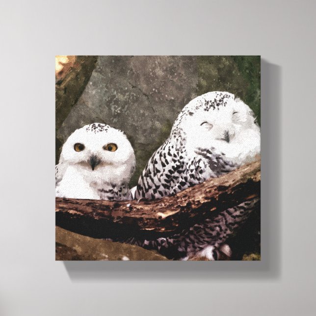 Zwei Owls Leinwanddruck (Vorderseite)