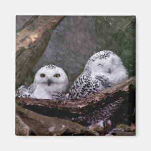 Zwei Owls Magnet