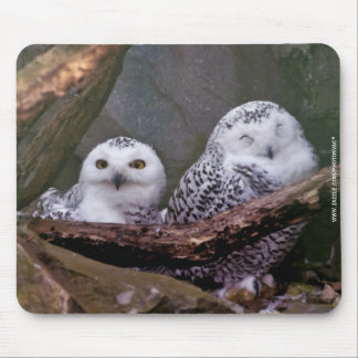 Zwei Owls Mousepad