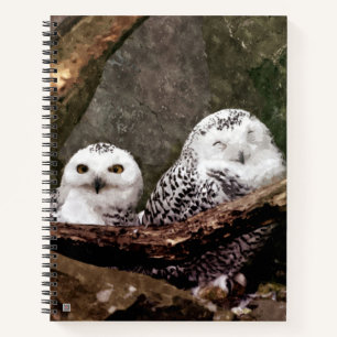 Zwei Owls Notizbuch