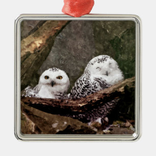 Zwei Owls Ornament Aus Metall