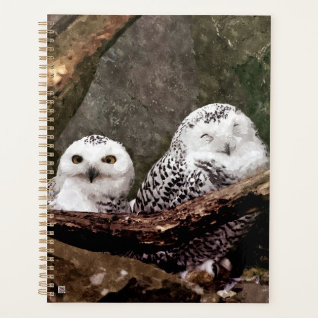 Zwei Owls Planer (Vorderseite)