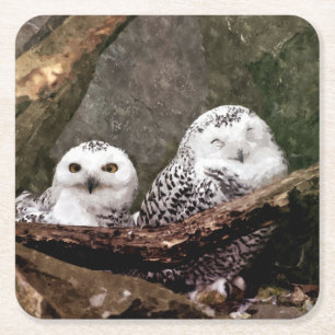 Zwei Owls Rechteckiger Pappuntersetzer