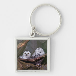 Zwei Owls Schlüsselanhänger