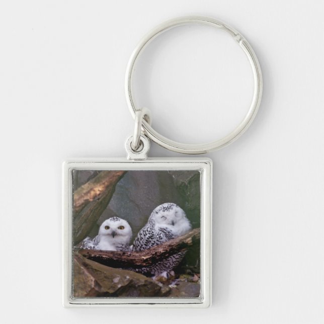 Zwei Owls Schlüsselanhänger (Vorne)