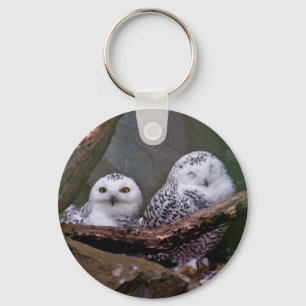 Zwei Owls Schlüsselanhänger
