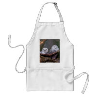 Zwei Owls
