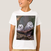 Zwei Owls