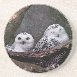 Zwei Owls Untersetzer