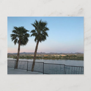Zwei Palmen Colorado River in Laughlin Nevada Postkarte