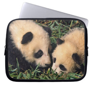 Zwei Pandajunge im Bambusgebüsch, Wolong, Laptopschutzhülle