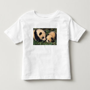 Zwei Pandajunge im Bambusgestrüpp, Wolong, Kleinkind T-shirt