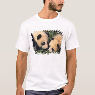 Zwei Pandajunge im Bambusgestrüpp, Wolong, T-Shirt