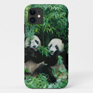 Zwei Pandas essen gemeinsam Bambus, Wolong iPhone 11 Hülle