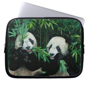 Zwei Pandas essen gemeinsam Bambus, Wolong Laptopschutzhülle