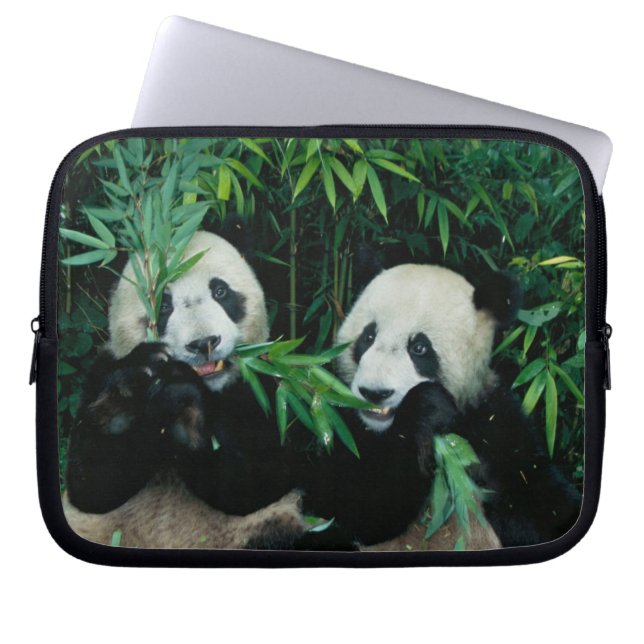 Zwei Pandas essen zusammen Bambus, Wolong Laptopschutzhülle (Vorderseite)