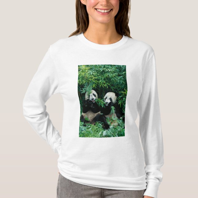 Zwei Pandas essen zusammen Bambus, Wolong T-Shirt (Vorderseite)