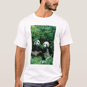 Zwei Pandas essen zusammen Bambus, Wolong T-Shirt