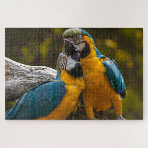 Zwei Papageien Tropische Vögel Puzzle