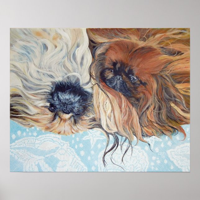Zwei Pekingese Hunde Poster (Vorne)